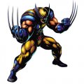 Wolverine Logo 02 Iron On Transfer