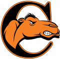Campbell Fighting Camels 2008-Pres Alternate Logo 02 Print Decal