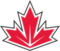 World Cup of Hockey 2016-2017 Team 06 Logo Print Decal