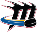 Cleveland Monsters 2007-2013 Alternate Logo Print Decal