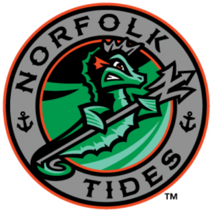 Norfolk Tides 2016-Pres Alternate Logo 2 Print Decal