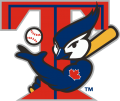 Toronto Blue Jays 2001-2002 Alternate Logo Iron On Transfer