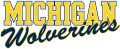 Michigan Wolverines 1996-Pres Wordmark Logo 07 Print Decal