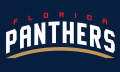 Florida Panthers 2016 17-Pres Wordmark Logo 03 Print Decal