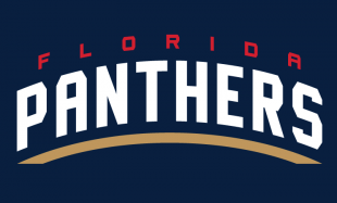 Florida Panthers 2016 17-Pres Wordmark Logo 03 Iron On Transfer