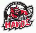 Huntsville Havoc 2015 16-Pres Secondary Logo Print Decal