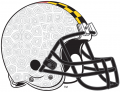 Maryland Terrapins 2000-Pres Helmet 01 Print Decal