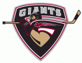 Vancouver Giants 2001 02-Pres Primary Logo Print Decal