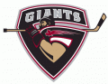 Vancouver Giants 2001 02-Pres Primary Logo Iron On Transfer