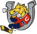 Barrie Colts 1995 96-Pres Primary Logo Iron On Transfer