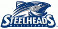 Mississauga Steelheads 2012 13-2014 15 Primary Logo Print Decal