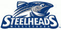 Mississauga Steelheads 2012 13-2014 15 Primary Logo Iron On Transfer