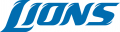 Detroit Lions 2009-2016 Wordmark Logo Iron On Transfer