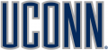 UConn Huskies 1996-2012 Wordmark Logo 04 Print Decal