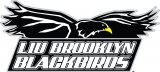 LIU-Brooklyn Blackbirds 2008-2018 Primary Logo Print Decal