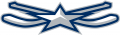 NHL All-Star Game 2014-2015 Alternate 02 Logo Iron On Transfer