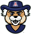 Arizona Wildcats 2013-Pres Mascot Logo Iron On Transfer