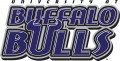 Buffalo Bulls 1997-2006 Wordmark Logo Iron On Transfer