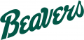 Bemidji State Beavers 2004-Pres Wordmark Logo Iron On Transfer