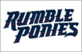 Binghamton Rumble 2017-Pres Jersey Logo Print Decal