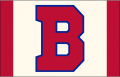 Buffalo Bisons 2013-Pres Cap Logo Print Decal