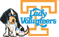 Tennessee Volunteers 2005-Pres Misc Logo 04 Print Decal