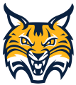 Quinnipiac Bobcats 2019-Pres Alternate Logo 02 Iron On Transfer