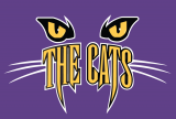 Western Carolina Catamounts 1996-2007 Alternate Logo 06 Iron On Transfer