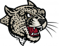 Lafayette Leopards 2000-Pres Secondary Logo Print Decal