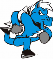 Middle Tennessee Blue Raiders 2000-Pres Mascot Logo Iron On Transfer