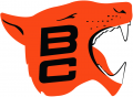 BC Lions 1967-1977 Primary Logo Print Decal