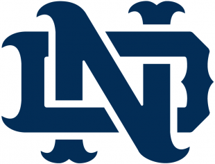 Notre Dame Fighting Irish 1994-Pres Alternate Logo 10 Print Decal