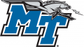 Middle Tennessee Blue Raiders 2007-Pres Primary Logo Print Decal