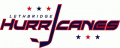 Lethbridge Hurricanes 2011 12-2012 13 Primary Logo Print Decal