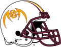 Bethune-Cookman Wildcats 2010-2015 Helmet Logo Iron On Transfer