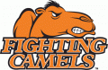 Campbell Fighting Camels 2005-2007 Alternate Logo Iron On Transfer