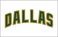 Dallas Stars 2008 09-2012 13 Jersey Logo Print Decal