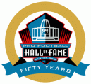 National Football League 2013 Anniversary Logo Iron On Transfer