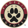 Arizona Coyotes 2008 09-2013 14 Alternate Logo Print Decal