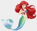 Ariel Logo 07 Print Decal