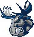 Manitoba Moose 2015 16-Pres Secondary Logo Print Decal