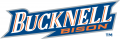 Bucknell Bison 2002-Pres Wordmark Logo 03 Print Decal