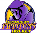 Youngstown Phantoms 2014 15-Pres Primary Logo Iron On Transfer