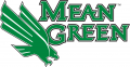 North Texas Mean Green 2005-Pres Alternate Logo 02 Print Decal