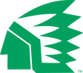 North Dakota Fighting Hawks 1976-1999 Primary Logo Print Decal