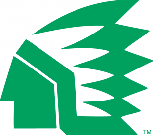 North Dakota Fighting Hawks 1976-1999 Primary Logo Print Decal