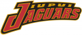 IUPUI Jaguars 1998-Pres Wordmark Logo Print Decal