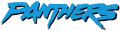 Carolina Panthers 1995-2011 Wordmark Logo Iron On Transfer