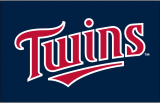 Minnesota Twins 2010-2013 Jersey Logo Iron On Transfer