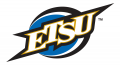 ETSU Buccaneers 2002-2013 Alternate Logo 11 Print Decal